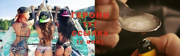 индика Гусев