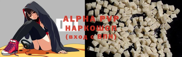 индика Гусев