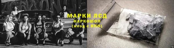 индика Гусев