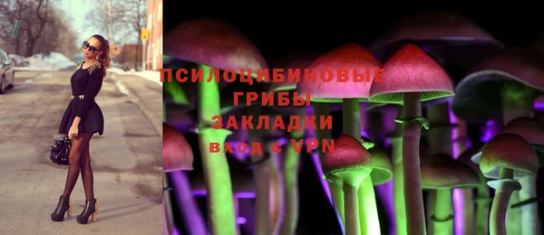 mdpv Гусиноозёрск