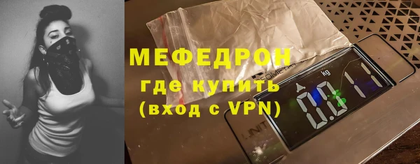 индика Гусев