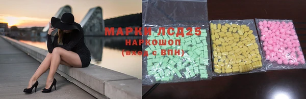 индика Гусев