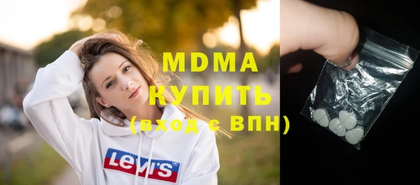 индика Гусев