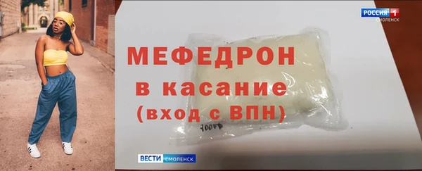 индика Гусев