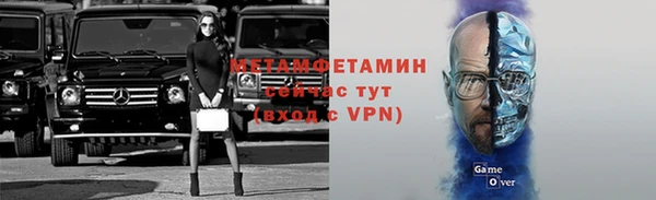 индика Гусев