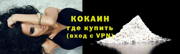 индика Гусев