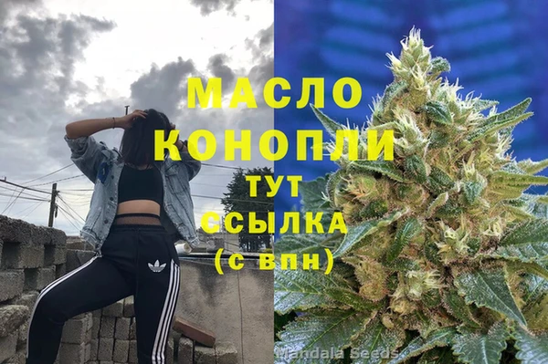 индика Гусев