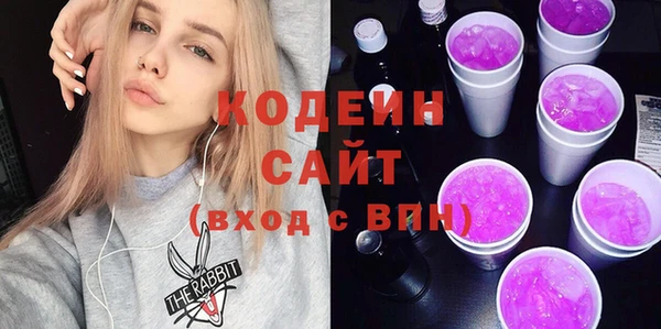 индика Гусев