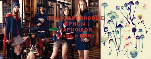 индика Гусев