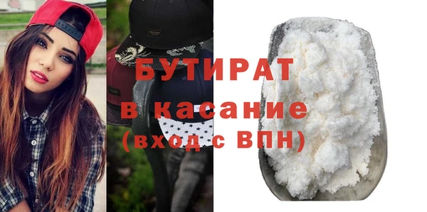 индика Гусев