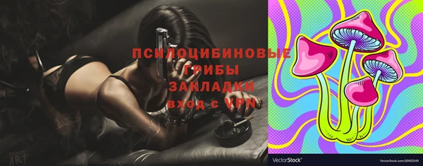 индика Гусев