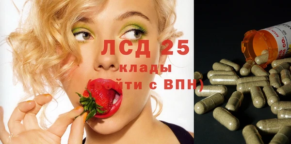 индика Гусев