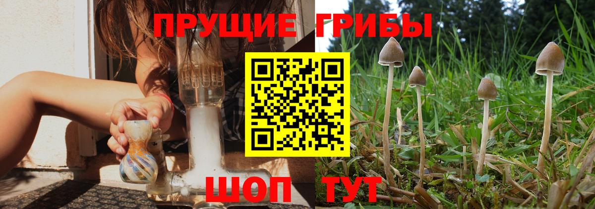 Галлюциногенные грибы мицелий Курганинск