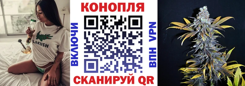 Шишки марихуана индика  Курганинск 